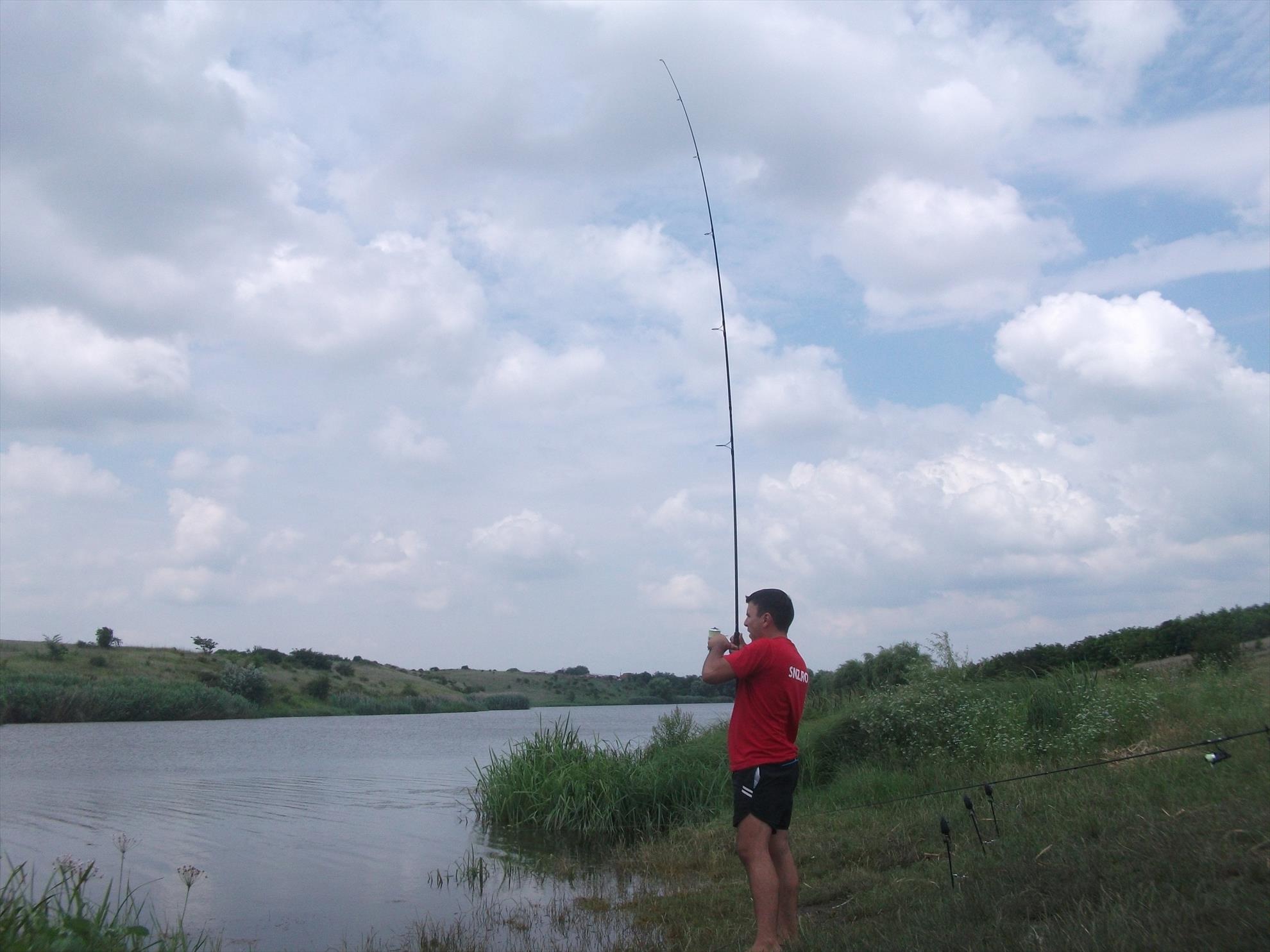 Walter - dscf0598.jpg